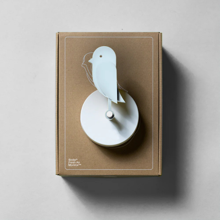 Birdie® 2.0 - Glacier