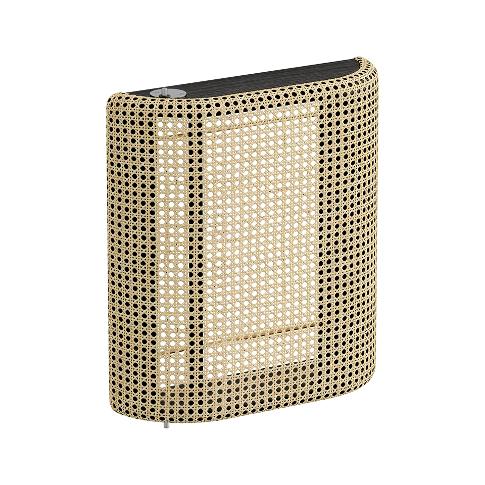 Treasures Doors - Black / Venetian Cane